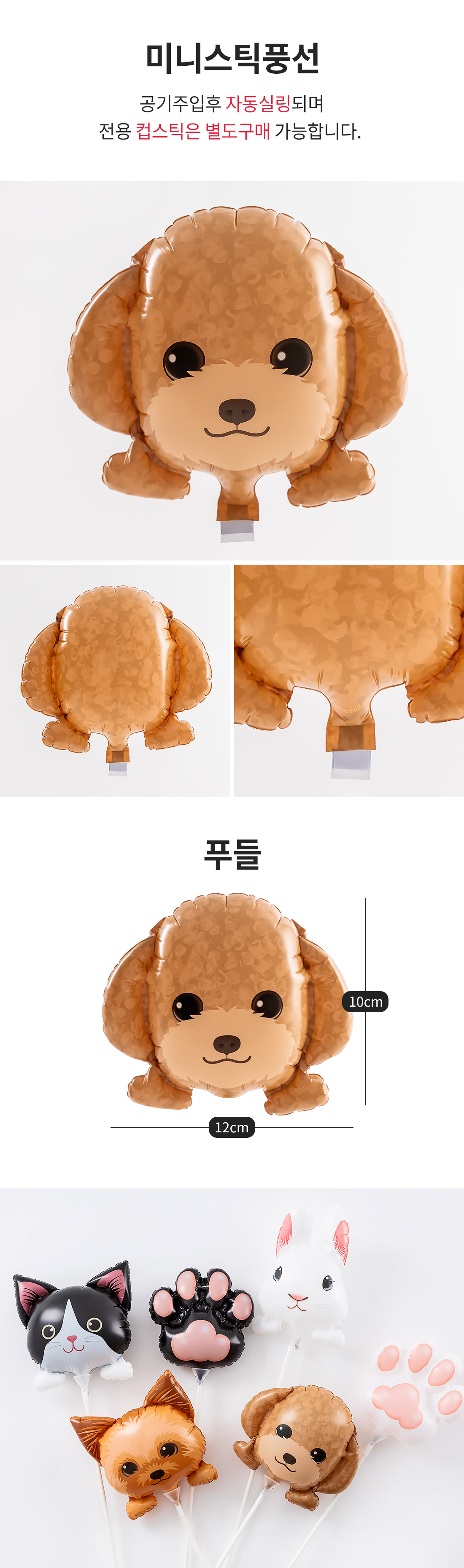 20250806_Kishis_Poodle_roll.jpg
