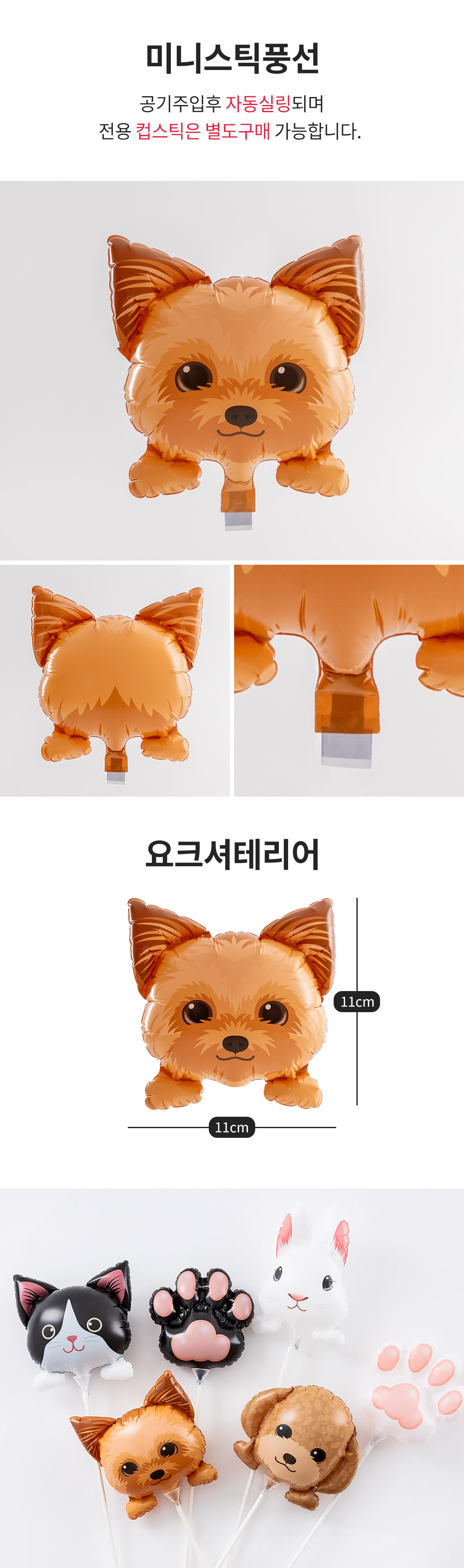 20250806_Kishis_Yorkie_roll.jpg