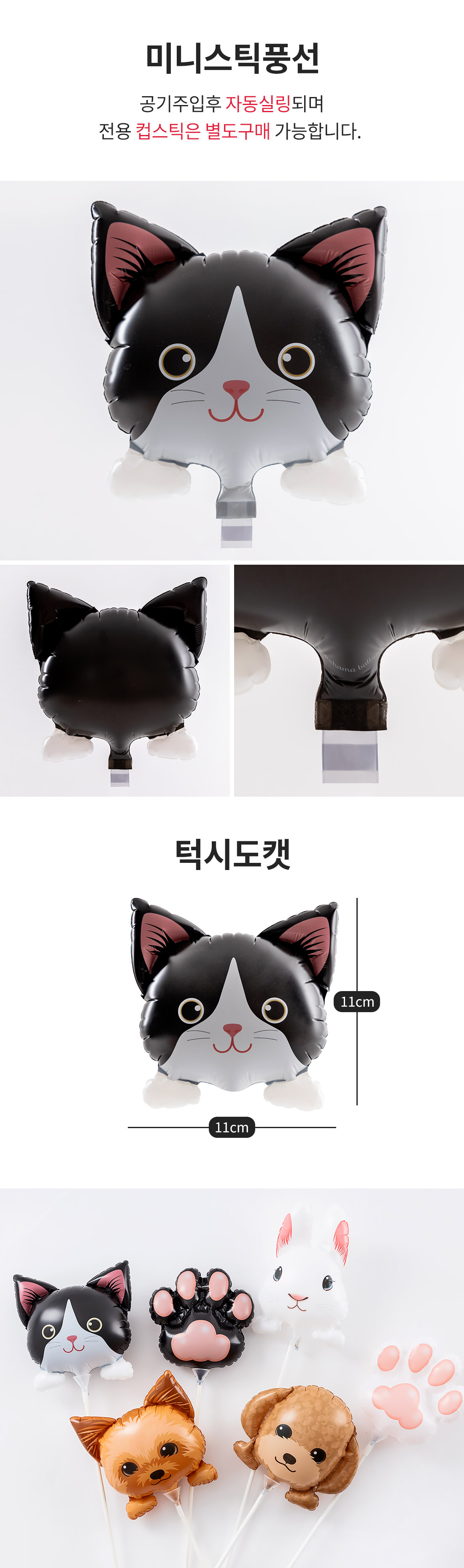 20250806_Kishis_cat_roll.jpg